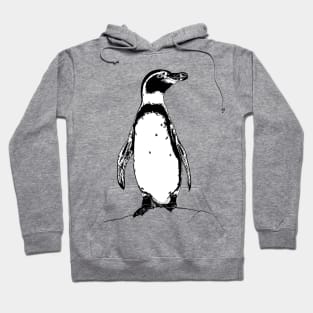 African penguin Hoodie